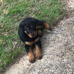 Meet your Posher, Colby